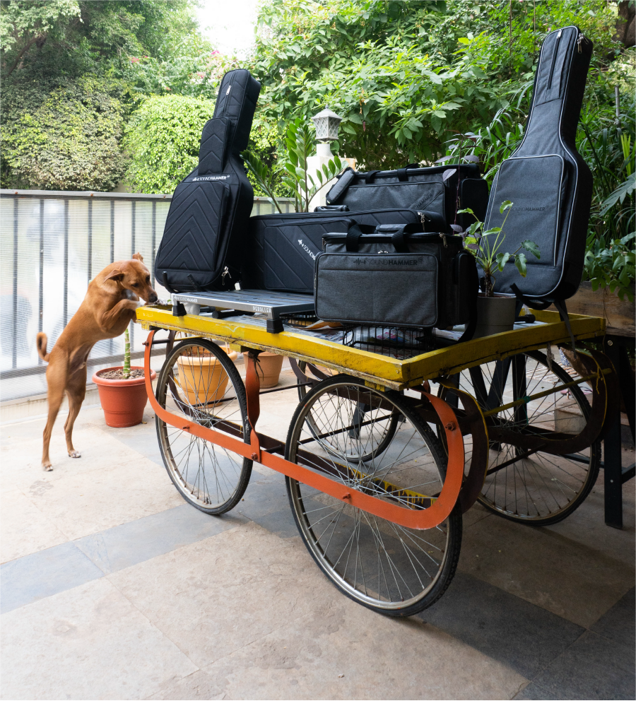 one brown dog sitting near a pull cart with soundhammer products like guitar bags, guitar pedalboards on it